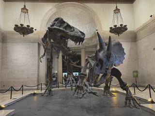 **Figure 7.**Natural History Museum of Los Angeles County.