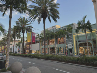**Figure 8.**Beverly Hills.