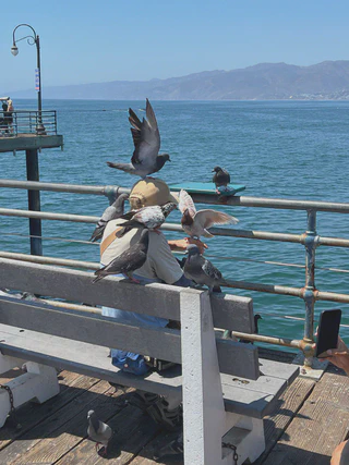 **Figure 11.**Santa Monica Pier2.